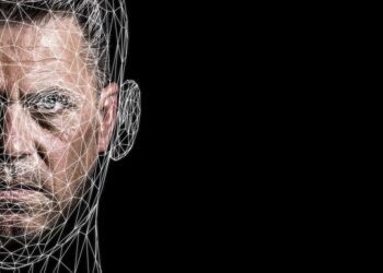 how databases store and manage information