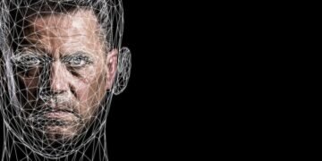 how databases store and manage information