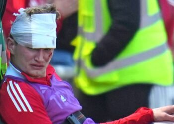Aberdeen Supporter Jailed for Attacking Footballer Jack MacKenzie During Match