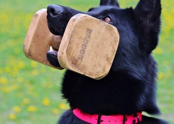 alfred hitchcock contributions to cinema