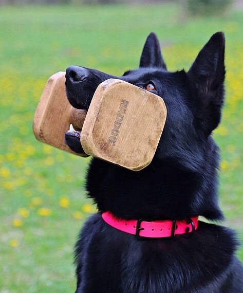 alfred hitchcock contributions to cinema