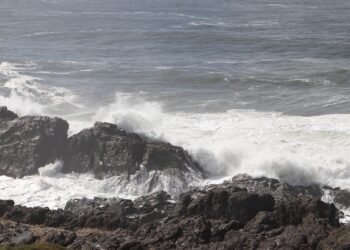 impact of british new wave cinema