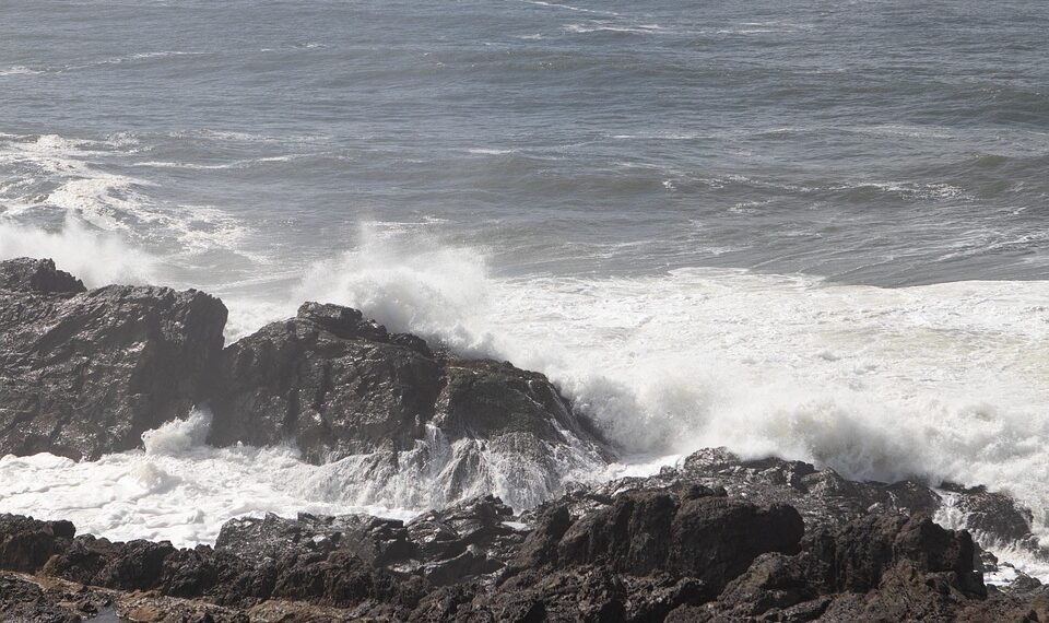 impact of british new wave cinema