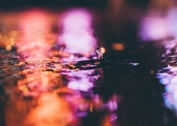 the art of stop motion filmmaking