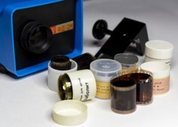 role of film critics in shaping cinema culture