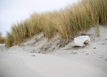 impact of plastic pollution on oceans