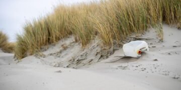 impact of plastic pollution on oceans