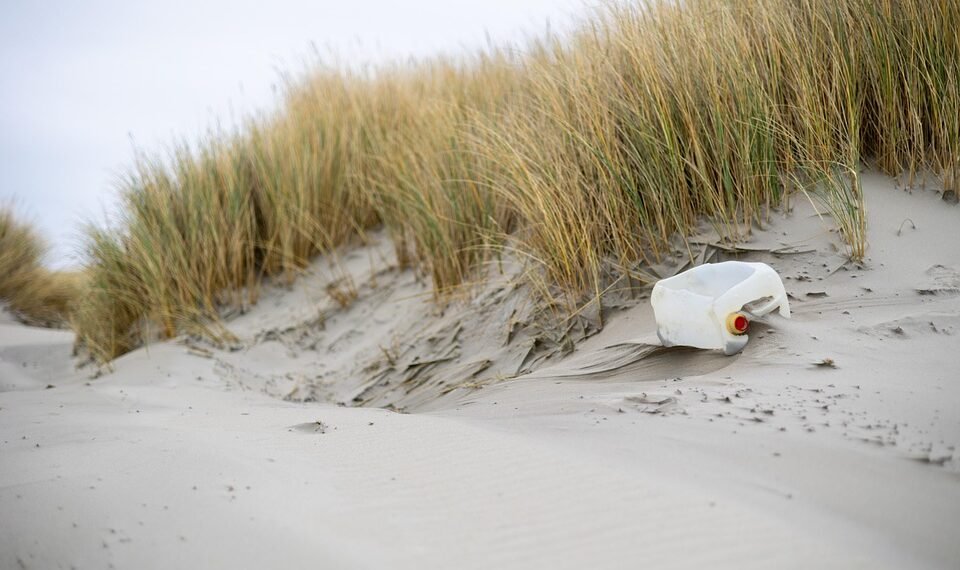 impact of plastic pollution on oceans