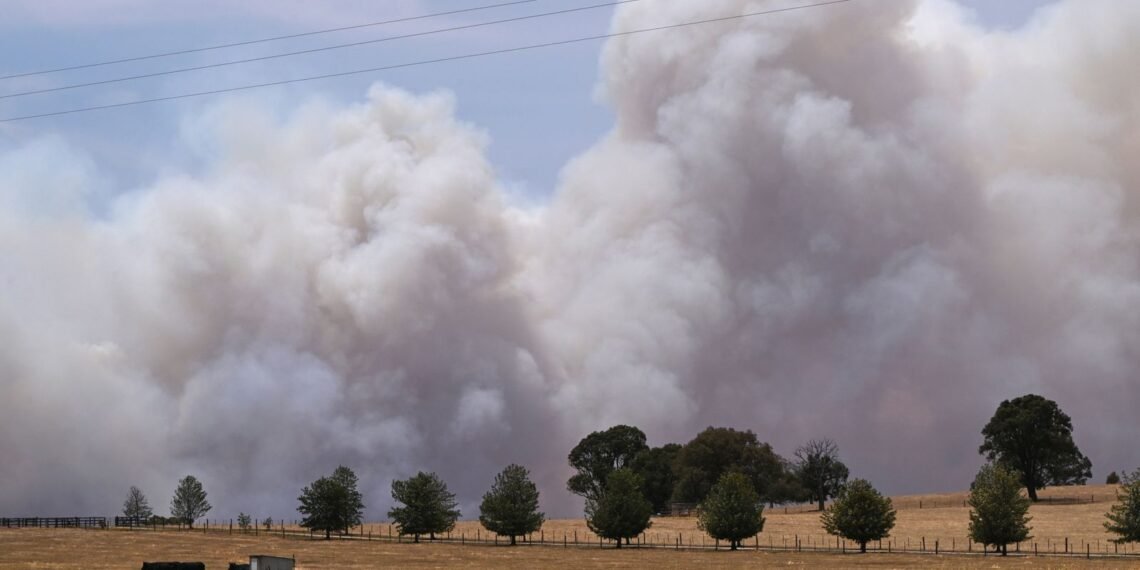Australia Declares State of Disaster Amid Severe Bushfires and Heatwave