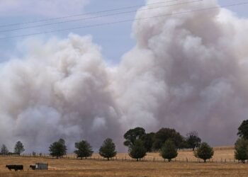 Australia Declares State of Disaster Amid Severe Bushfires and Heatwave