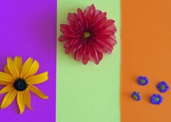 introduction to auteur theory in cinema