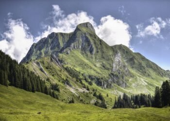 importance of free speech in democratic societies