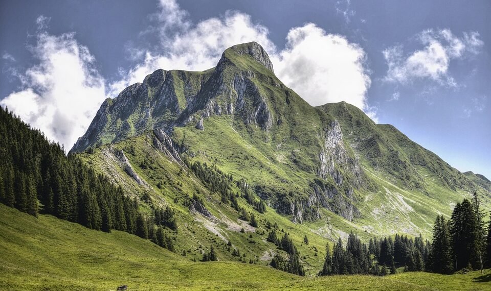 importance of free speech in democratic societies