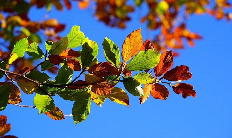 the golden age of hollywood explained