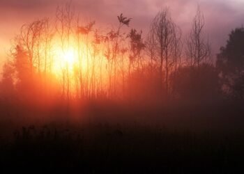 behind the scenes of practical effects in classics