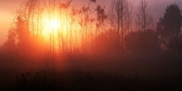 behind the scenes of practical effects in classics