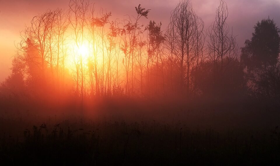 behind the scenes of practical effects in classics