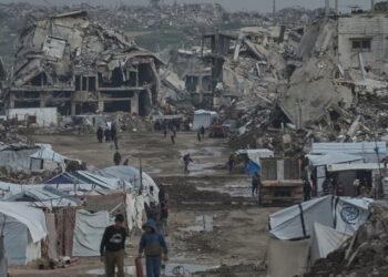 Board of Peace Offers Stability Solutions for Gazans Facing Crisis