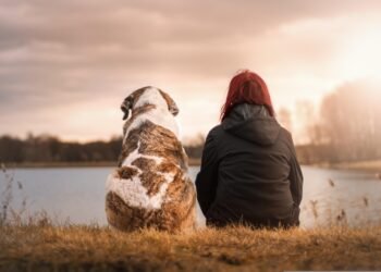 history of james bond film franchise