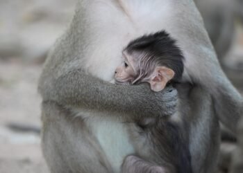 history of james bond film franchise