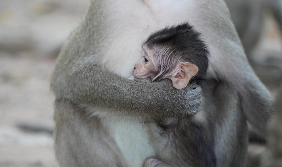 history of james bond film franchise