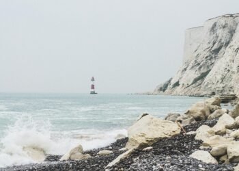 impact of british new wave cinema