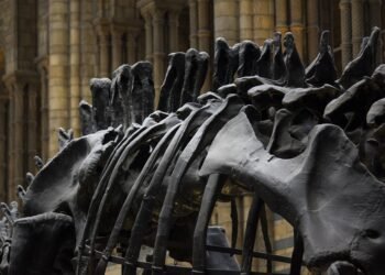 history of james cameron’s blockbuster filmmaking