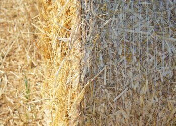 role of film composers in storytelling