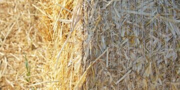 role of film composers in storytelling