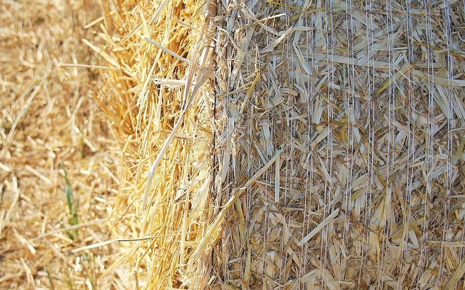 role of film composers in storytelling