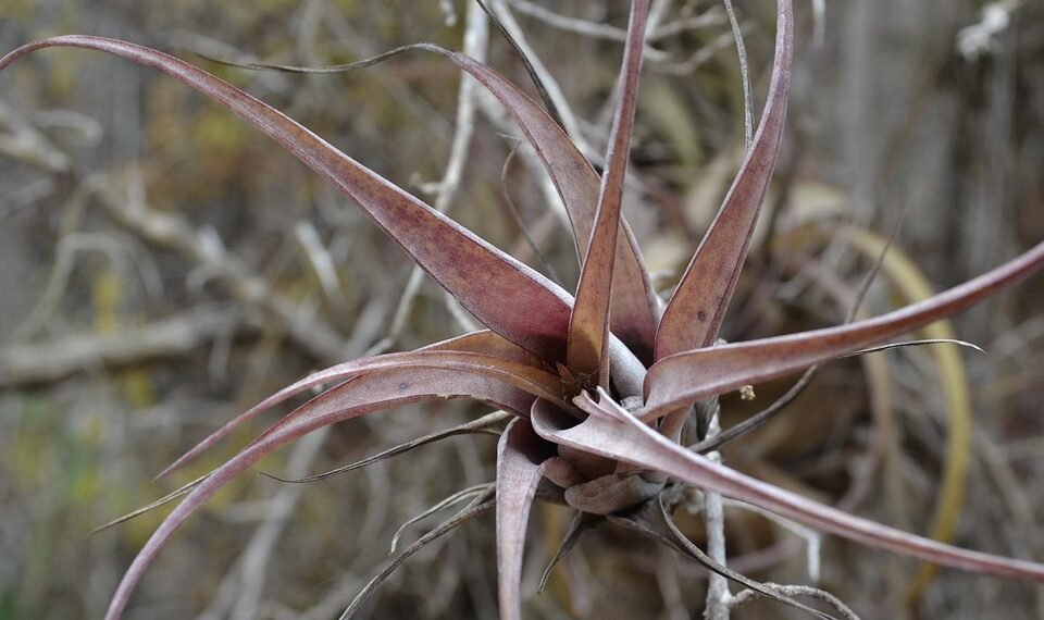 impact of christopher nolan’s filmmaking techniques