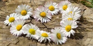 how silent films shaped modern storytelling