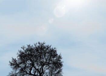 development of romance genre in global cinema