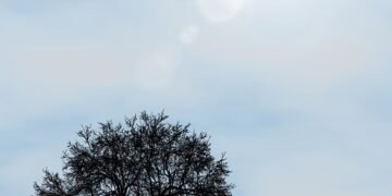 development of romance genre in global cinema