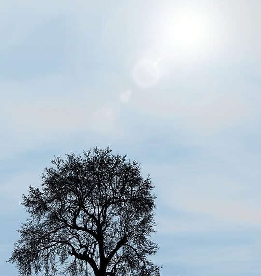 development of romance genre in global cinema