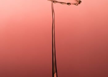 impact of british new wave cinema