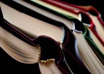 how the human brain processes information