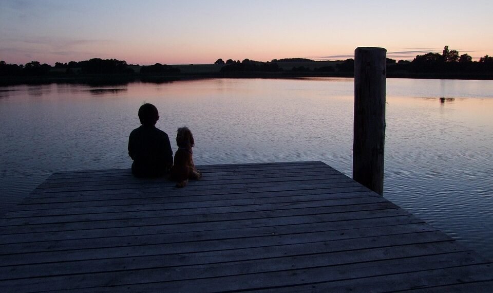 cinematic impact of true story adaptations