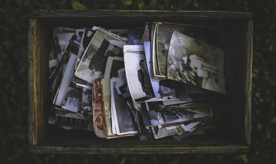 history of film festivals worldwide