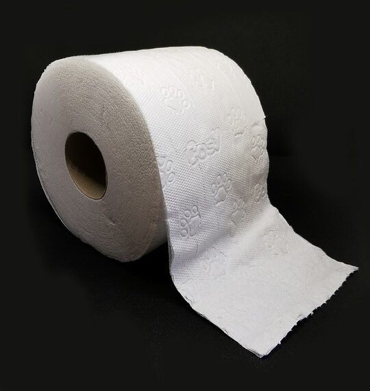 role of film composers in storytelling