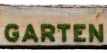 history of international co-productions in film