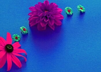 introduction to auteur theory in cinema