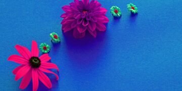 introduction to auteur theory in cinema