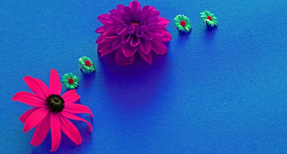 introduction to auteur theory in cinema