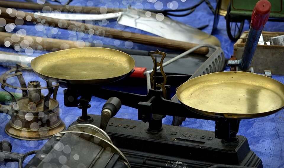 difference between mass and weight in physics