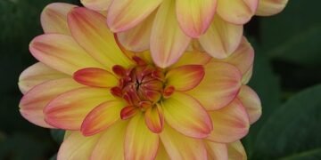 origin of film noir and stylistic elements