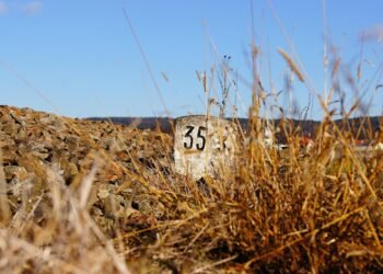 history of disney animation milestones