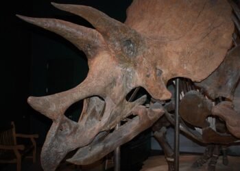 evolution of film criticism and reviewers