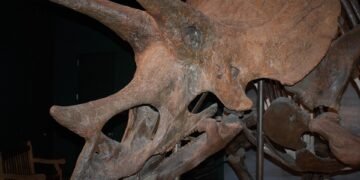 evolution of film criticism and reviewers