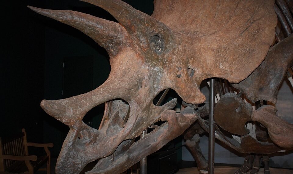 evolution of film criticism and reviewers